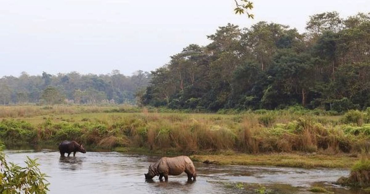 Prestigious Chitwan Tour