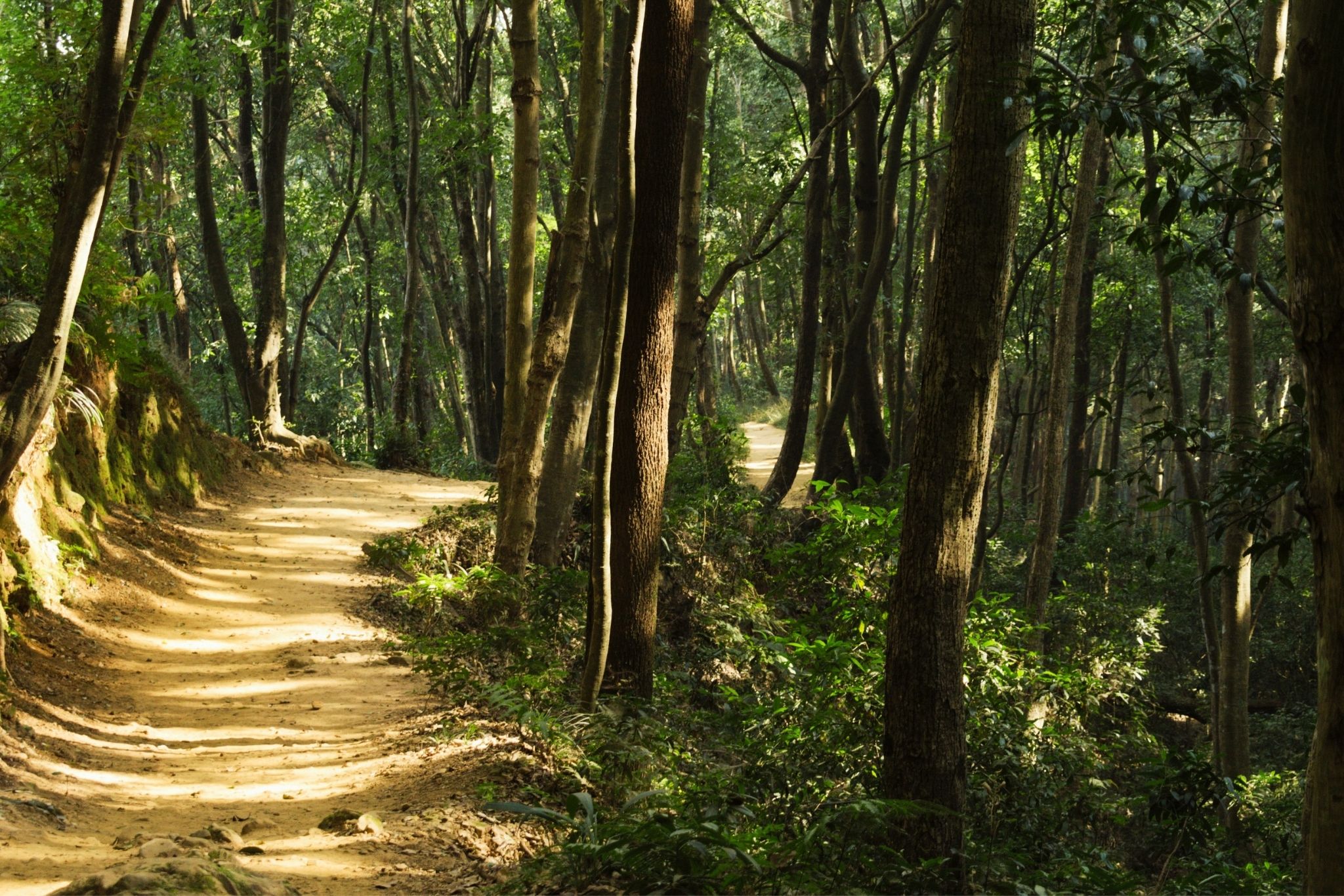 Kakani Short Hike